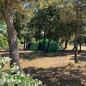 Sugar Campsite